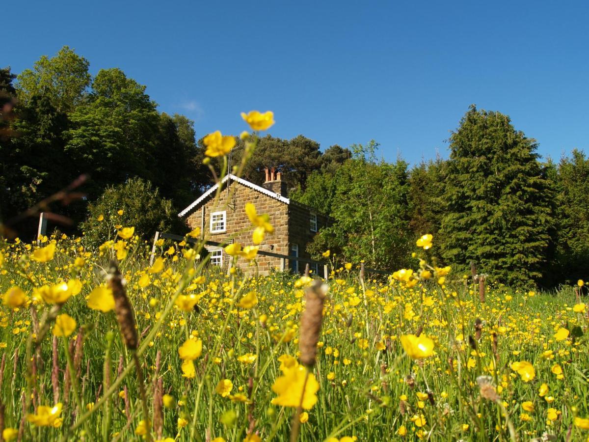 Vakantiehuis Plantation